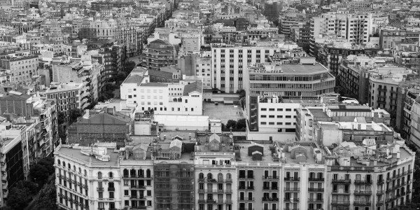 Delitos Contra la Propiedad / Urbanísticos Barlovento · Parcelación en Suelo No Edificable